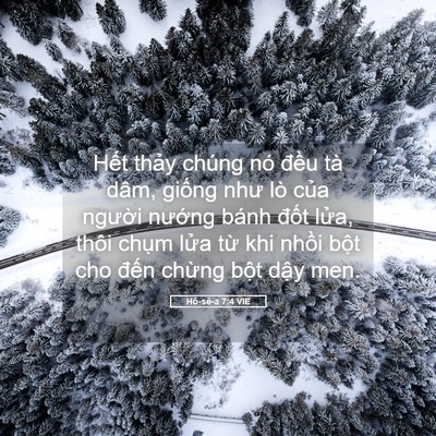 Picture 05 - Hô-sê-a 7:4 VIE - Hết thảy chúng nó đều tà dâm, giống - Bible Verse Picture