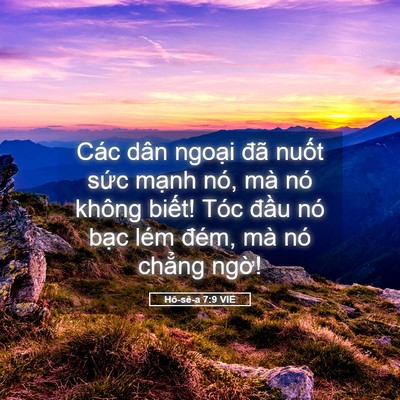 Picture 05 - Hô-sê-a 7:9 VIE - Các dân ngoại đã nuốt sức mạnh nó, - Bible Verse Picture