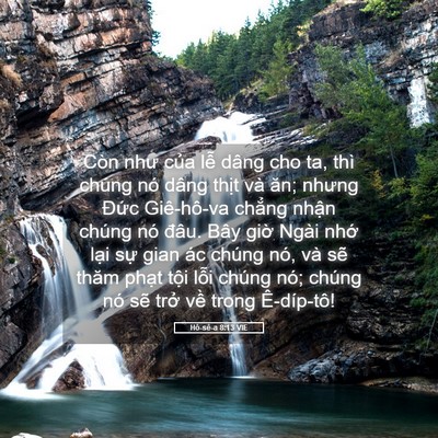 Picture 05 - Hô-sê-a 8:13 VIE - Còn như của lễ dâng cho ta, thì chúng - Bible Verse Picture
