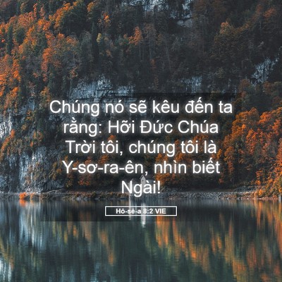 Picture 05 - Hô-sê-a 8:2 VIE - Chúng nó sẽ kêu đến ta rằng: Hỡi - Bible Verse Picture