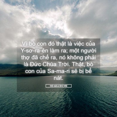 Picture 05 - Hô-sê-a 8:6 VIE - Vì bò con đó thật là việc của - Bible Verse Picture