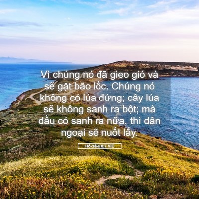 Picture 05 - Hô-sê-a 8:7 VIE - Vì chúng nó đã gieo gió và sẽ gặt bão - Bible Verse Picture
