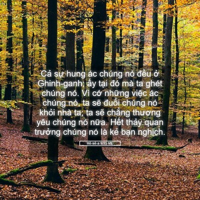 Picture 05 - Hô-sê-a 9:15 VIE - Cả sự hung ác chúng nó đều ở - Bible Verse Picture