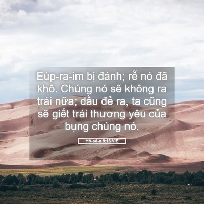 Picture 05 - Hô-sê-a 9:16 VIE - Eùp-ra-im bị đánh; rễ nó đã khô. - Bible Verse Picture