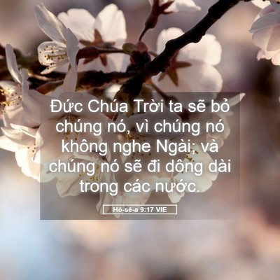 Picture 05 - Hô-sê-a 9:17 VIE - Đức Chúa Trời ta sẽ bỏ chúng nó, vì - Bible Verse Picture