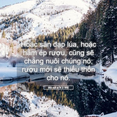 Picture 05 - Hô-sê-a 9:2 VIE - Hoặc sân đạp lúa, hoặc hầm ép - Bible Verse Picture