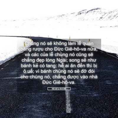 Picture 05 - Hô-sê-a 9:4 VIE - Chúng nó sẽ không làm lễ quán bằng - Bible Verse Picture