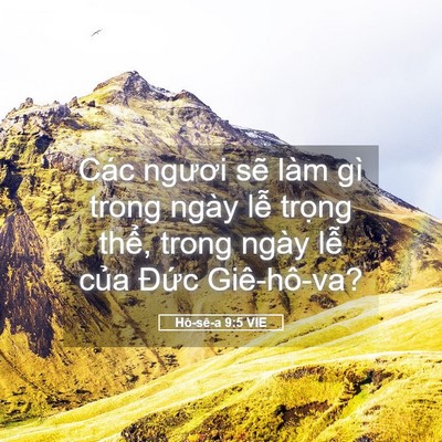 Picture 05 - Hô-sê-a 9:5 VIE - Các ngươi sẽ làm gì trong ngày lễ - Bible Verse Picture