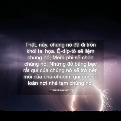 Picture 05 - Hô-sê-a 9:6 VIE - Thật, nầy, chúng nó đã đi trốn khỏi - Bible Verse Picture