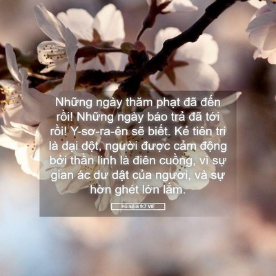 Picture 05 - Hô-sê-a 9:7 VIE - Những ngày thăm phạt đã đến rồi! - Bible Verse Picture