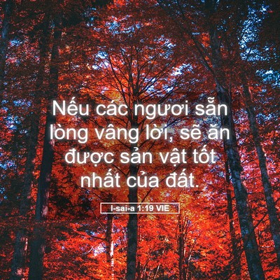 Picture 05 - I-sai-a 1:19 VIE - Nếu các ngươi sẵn lòng vâng lời, sẽ - Bible Verse Picture