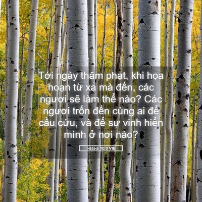 Picture 05 - I-sai-a 10:3 VIE - Tới ngày thăm phạt, khi họa hoạn từ - Bible Verse Picture