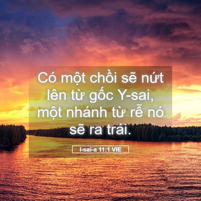 Picture 05 - I-sai-a 11:1 VIE - Có một chồi sẽ nứt lên từ gốc - Bible Verse Picture