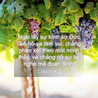 Picture 05 - I-sai-a 11:3 VIE - Ngài lấy sự kính sợ Đức Giê-hô-va - Bible Verse Picture