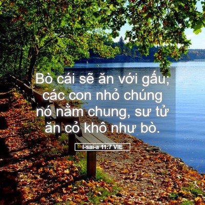 Picture 05 - I-sai-a 11:7 VIE - Bò cái sẽ ăn với gấu; các con nhỏ - Bible Verse Picture