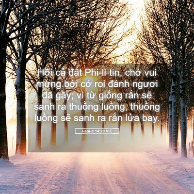 Picture 05 - I-sai-a 14:29 VIE - Hỡi cả đất Phi-li-tin, chớ vui mừng - Bible Verse Picture