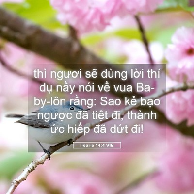 Picture 05 - I-sai-a 14:4 VIE - thì ngươi sẽ dùng lời thí dụ nầy - Bible Verse Picture