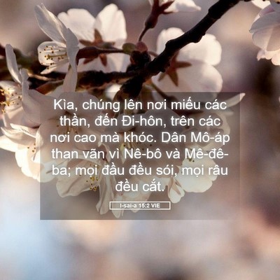 Picture 05 - I-sai-a 15:2 VIE - Kìa, chúng lên nơi miếu các thần, đến - Bible Verse Picture