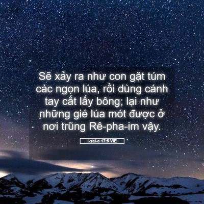 Picture 05 - I-sai-a 17:5 VIE - Sẽ xảy ra như con gặt túm các ngọn - Bible Verse Picture