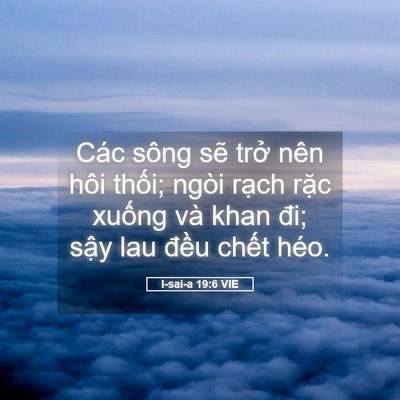 Picture 05 - I-sai-a 19:6 VIE - Các sông sẽ trở nên hôi thối; ngòi - Bible Verse Picture