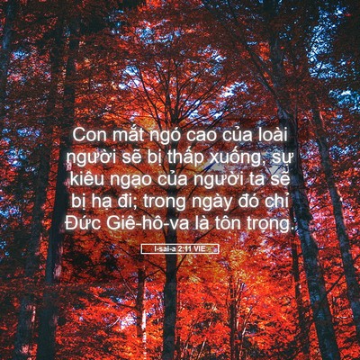 Picture 05 - I-sai-a 2:11 VIE - Con mắt ngó cao của loài người sẽ bị - Bible Verse Picture