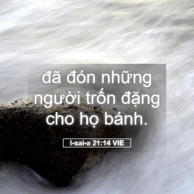 Picture 05 - I-sai-a 21:14 VIE - đã đón những người trốn đặng cho - Bible Verse Picture