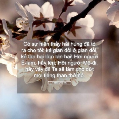 Picture 05 - I-sai-a 21:2 VIE - Có sự hiện thấy hãi hùng đã tỏ ra - Bible Verse Picture