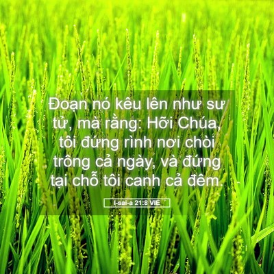 Picture 05 - I-sai-a 21:8 VIE - Đoạn nó kêu lên như sư tử, mà rằng: - Bible Verse Picture