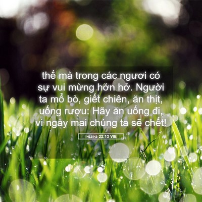 Picture 05 - I-sai-a 22:13 VIE - thế mà trong các ngươi có sự vui mừng - Bible Verse Picture