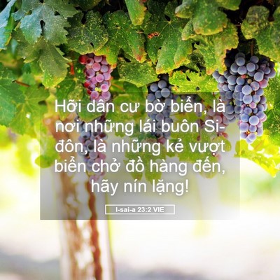 Picture 05 - I-sai-a 23:2 VIE - Hỡi dân cư bờ biển, là nơi những lái - Bible Verse Picture