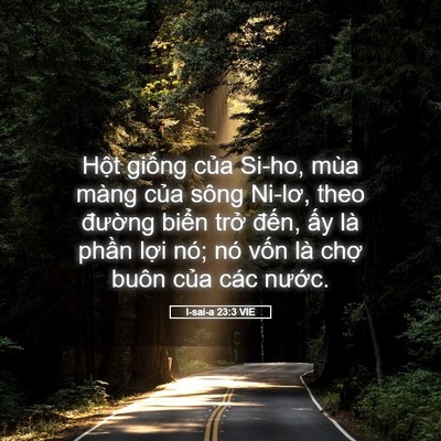 Picture 05 - I-sai-a 23:3 VIE - Hột giống của Si-ho, mùa màng của sông - Bible Verse Picture