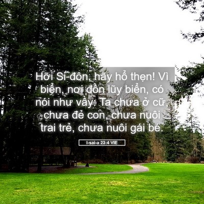 Picture 05 - I-sai-a 23:4 VIE - Hỡi Si-đôn, hãy hổ thẹn! Vì biển, - Bible Verse Picture