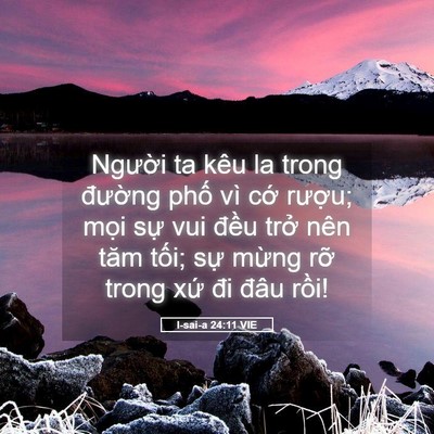 Picture 05 - I-sai-a 24:11 VIE - Người ta kêu la trong đường phố vì - Bible Verse Picture