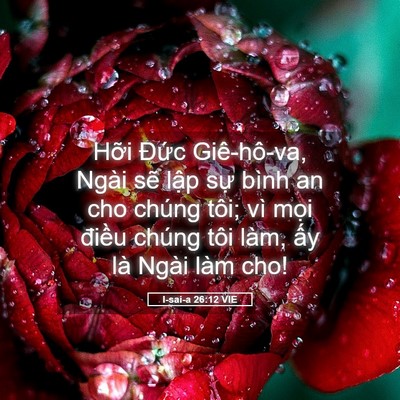 Picture 05 - I-sai-a 26:12 VIE - Hỡi Đức Giê-hô-va, Ngài sẽ lập sự - Bible Verse Picture