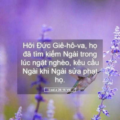 Picture 05 - I-sai-a 26:16 VIE - Hỡi Đức Giê-hô-va, họ đã tìm kiếm - Bible Verse Picture