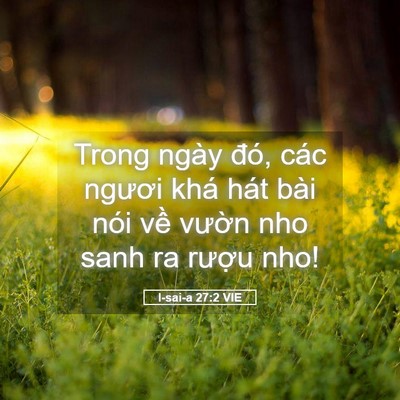Picture 05 - I-sai-a 27:2 VIE - Trong ngày đó, các ngươi khá hát bài - Bible Verse Picture