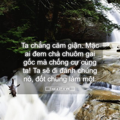 Picture 05 - I-sai-a 27:4 VIE - Ta chẳng căm giận. Mặc ai đem chà chuôm - Bible Verse Picture