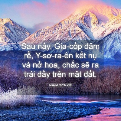 Picture 05 - I-sai-a 27:6 VIE - Sau nầy, Gia-cốp đâm rễ, Y-sơ-ra-ên - Bible Verse Picture
