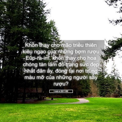Picture 05 - I-sai-a 28:1 VIE - Khốn thay cho mão triều thiên kiêu ngạo - Bible Verse Picture