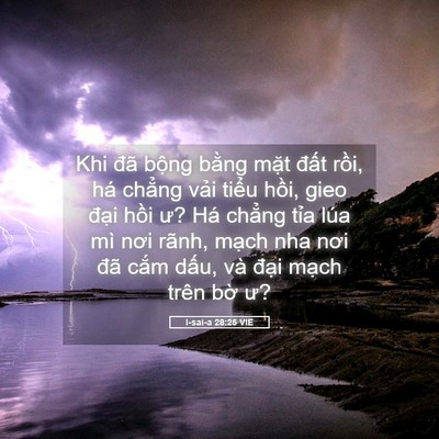 Picture 05 - I-sai-a 28:25 VIE - Khi đã bộng bằng mặt đất rồi, há - Bible Verse Picture