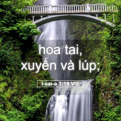 Picture 05 - I-sai-a 3:19 VIE - hoa tai, xuyến và - Bible Verse Picture