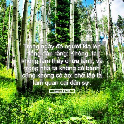 Picture 05 - I-sai-a 3:7 VIE - Trong ngày đó người kia lên tiếng đáp - Bible Verse Picture