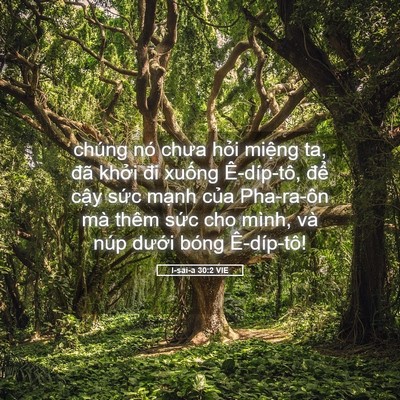 Picture 05 - I-sai-a 30:2 VIE - chúng nó chưa hỏi miệng ta, đã khởi - Bible Verse Picture