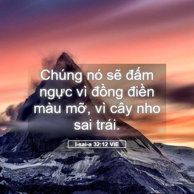 Picture 05 - I-sai-a 32:12 VIE - Chúng nó sẽ đấm ngực vì đồng điền - Bible Verse Picture