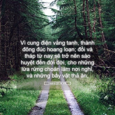 Picture 05 - I-sai-a 32:14 VIE - Vì cung điện vắng tanh, thành đông đúc - Bible Verse Picture