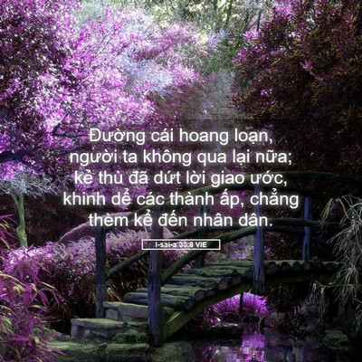 Picture 05 - I-sai-a 33:8 VIE - Đường cái hoang loạn, người ta không - Bible Verse Picture