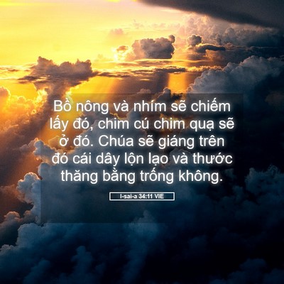 Picture 05 - I-sai-a 34:11 VIE - Bồ nông và nhím sẽ chiếm lấy đó, - Bible Verse Picture