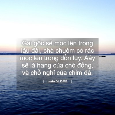 Picture 05 - I-sai-a 34:13 VIE - Gai gốc sẽ mọc lên trong lâu đài, chà - Bible Verse Picture