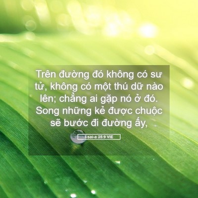 Picture 05 - I-sai-a 35:9 VIE - Trên đường đó không có sư tử, không - Bible Verse Picture