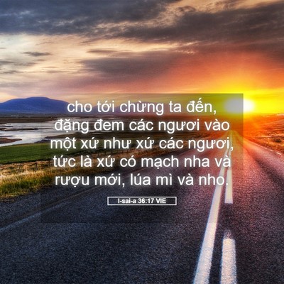 Picture 05 - I-sai-a 36:17 VIE - cho tới chừng ta đến, đặng đem các - Bible Verse Picture